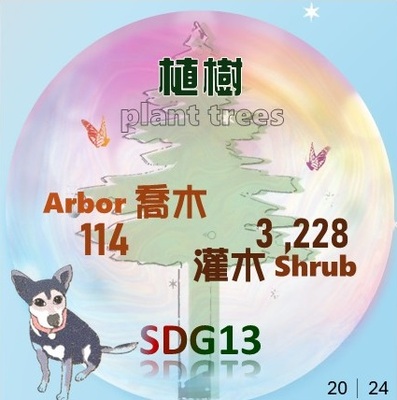 2024新植喬木114棵灌木3228棵(原頁面開啟,放大顯示原圖片)