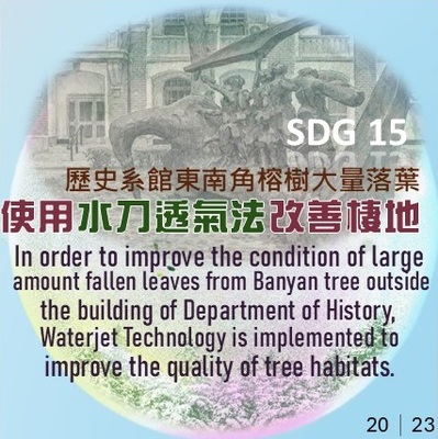 2023歷史系東南角榕樹出現大量落葉,採用水刀法進行棲地改善(原頁面開啟,放大顯示原圖片)